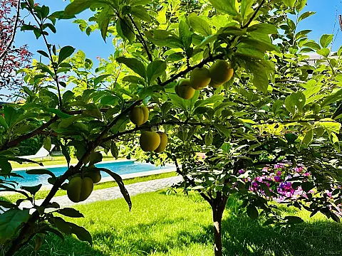 Satılır 4 otaqlı həyət evi 160 m²