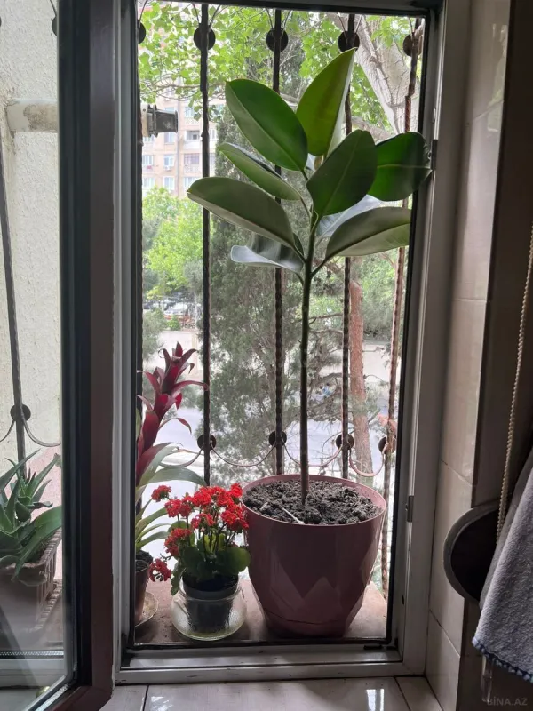 Satılır 3 otaqlı mənzil 70 m²