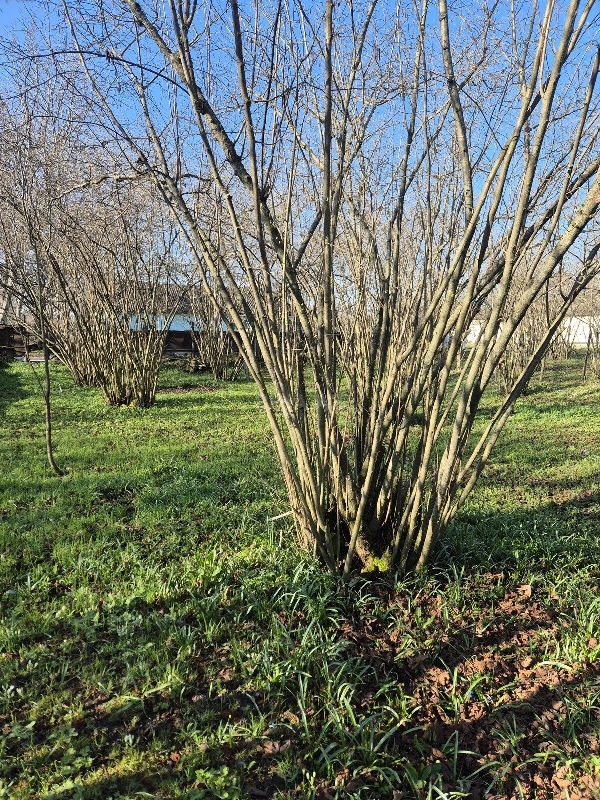 Satılır 4 otaqlı həyət evi 60 m²