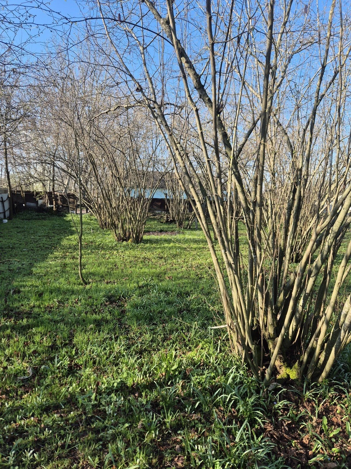 Satılır 4 otaqlı həyət evi 60 m²