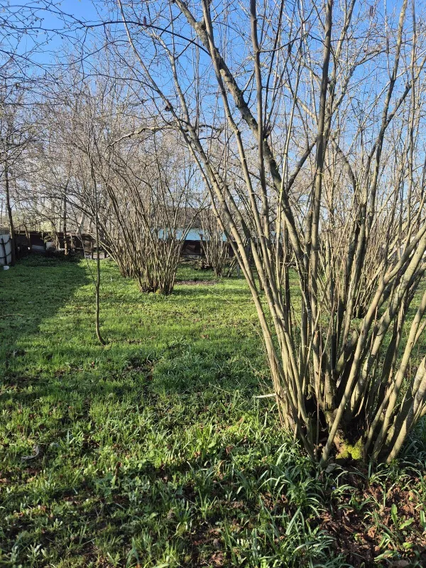 Satılır 4 otaqlı həyət evi 60 m²