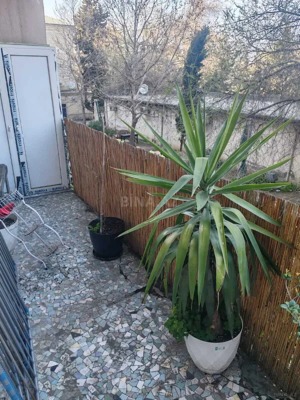 Kirayə verilir 2 otaqlı mənzil 55 m²