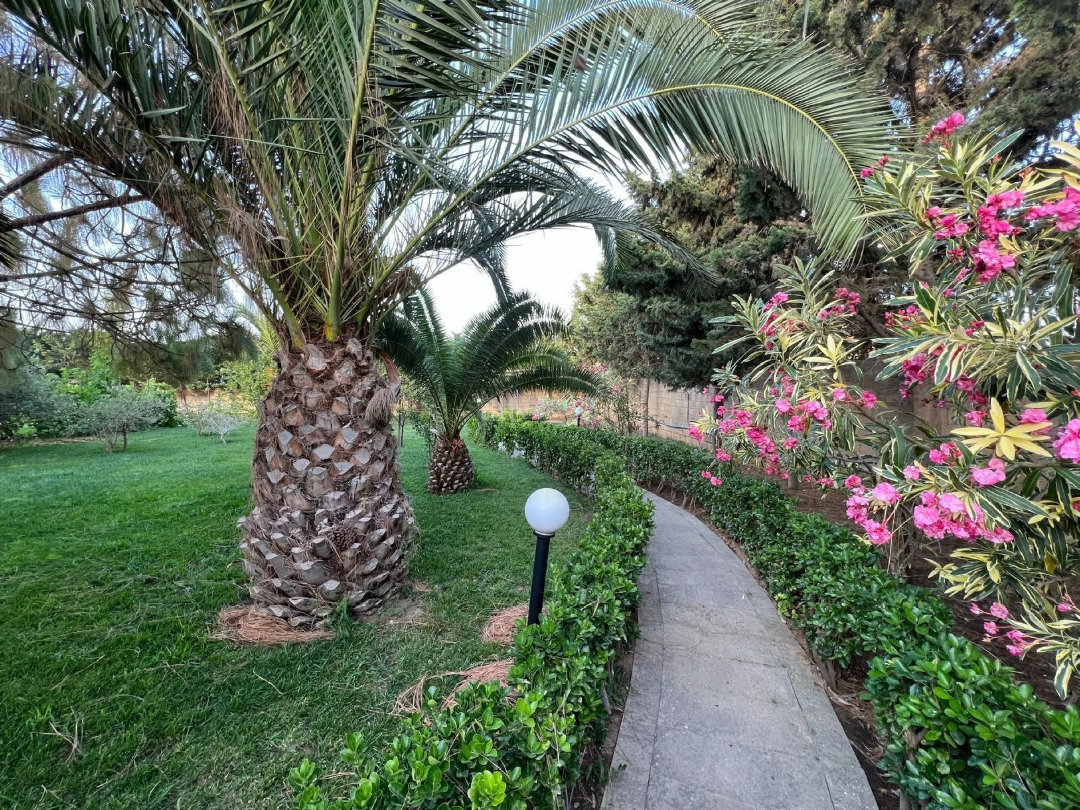 Kirayə verilir 7 otaqlı həyət evi 600 m²