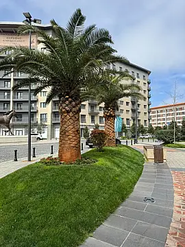 Kirayə verilir obyekt 107 m²