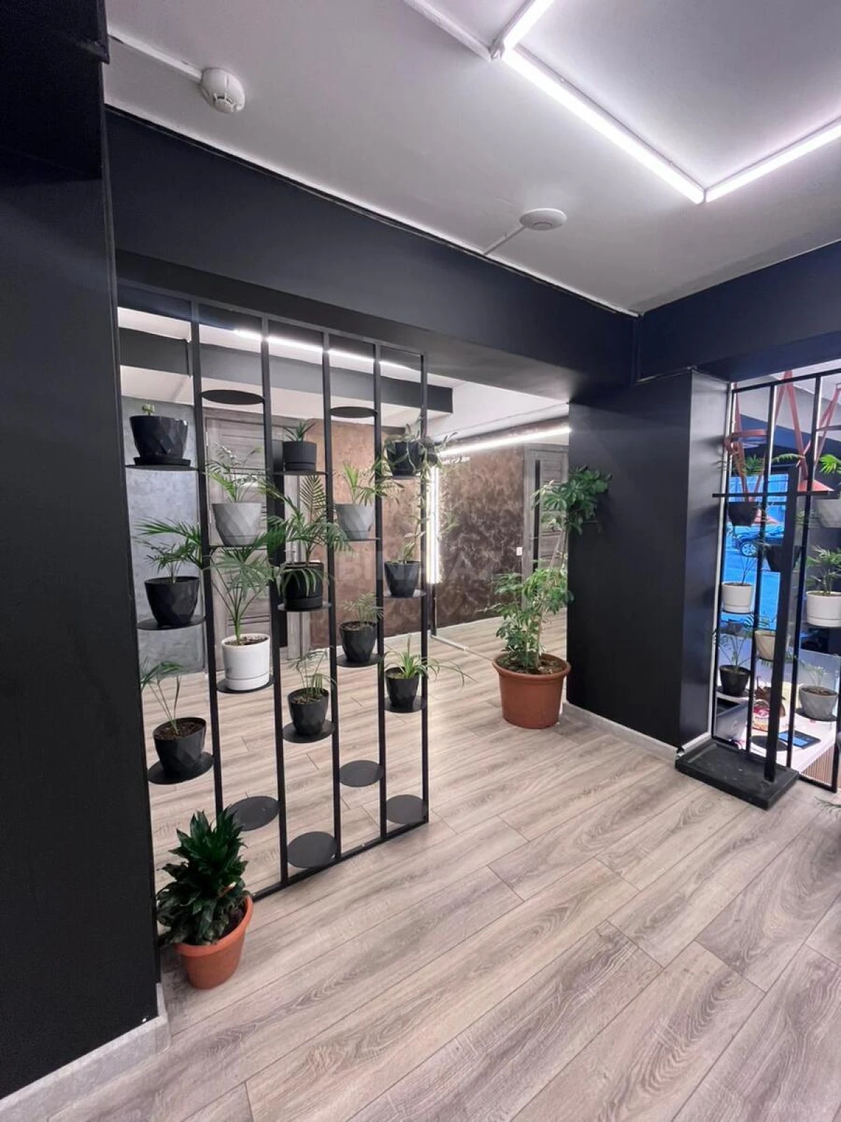 Kirayə verilir obyekt 260 m²