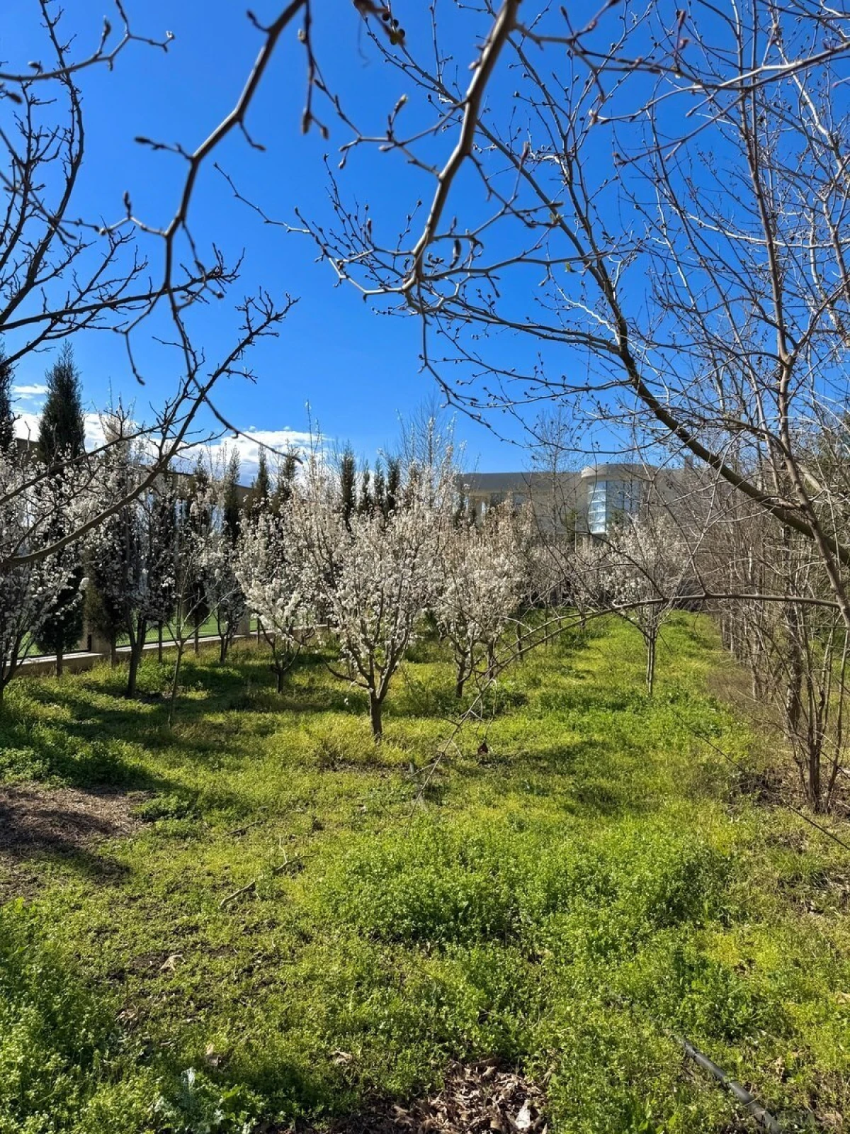 Satılır 9 otaqlı həyət evi 2000 m²