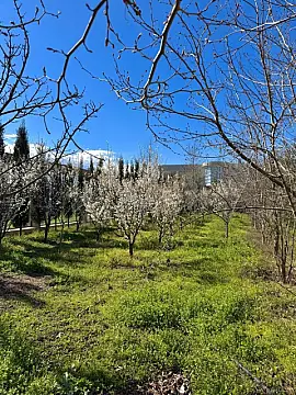 Satılır 9 otaqlı həyət evi 2000 m²