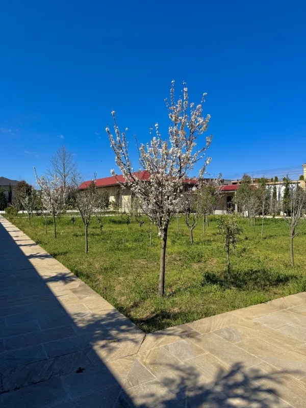 Satılır 9 otaqlı həyət evi 2000 m²