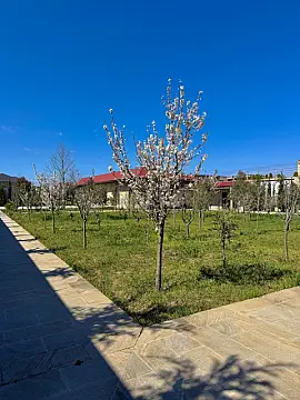 Satılır 9 otaqlı həyət evi 2000 m²
