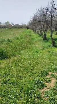 Satılır torpaq sahəsi 300 m² — Sabirabad 300.00 m²