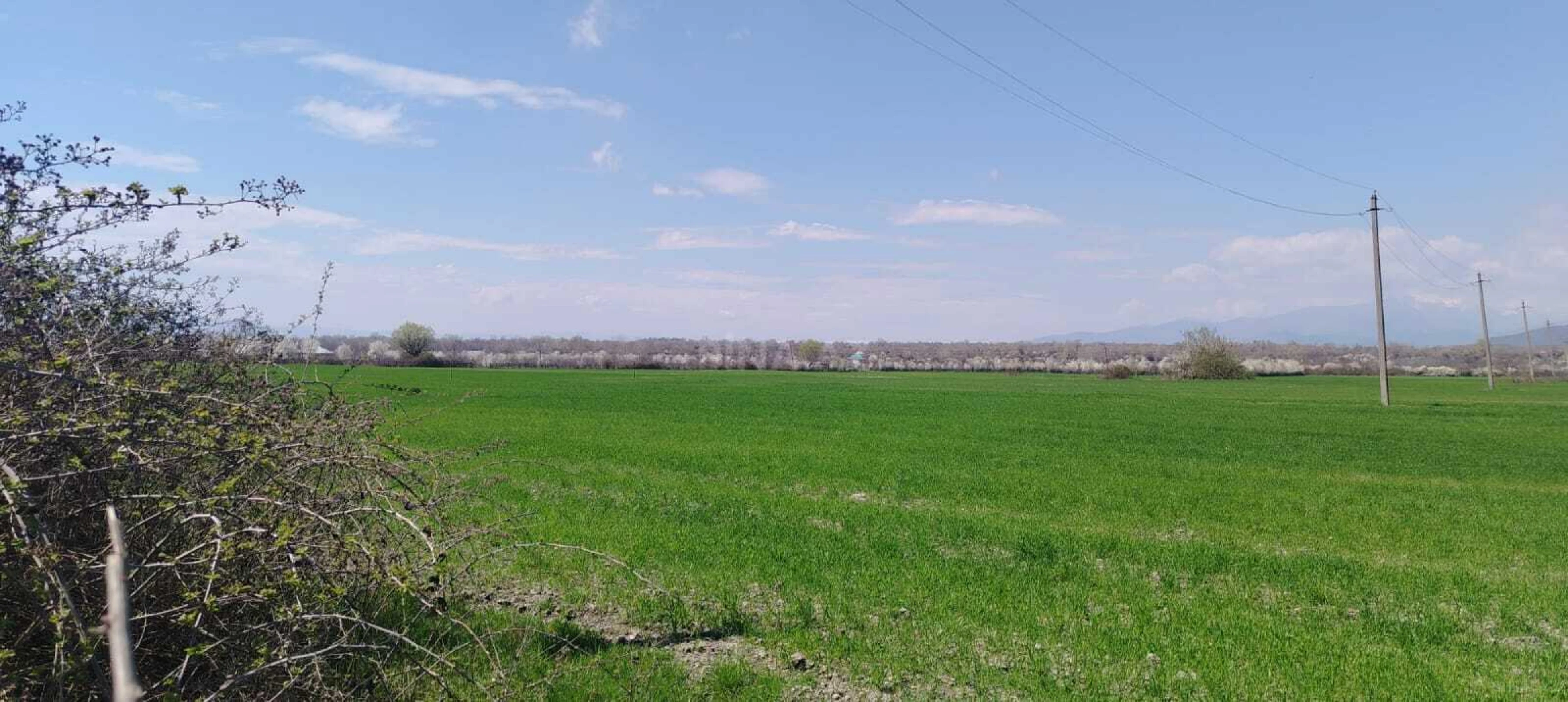 Satılır torpaq sahəsi 53.3 m²