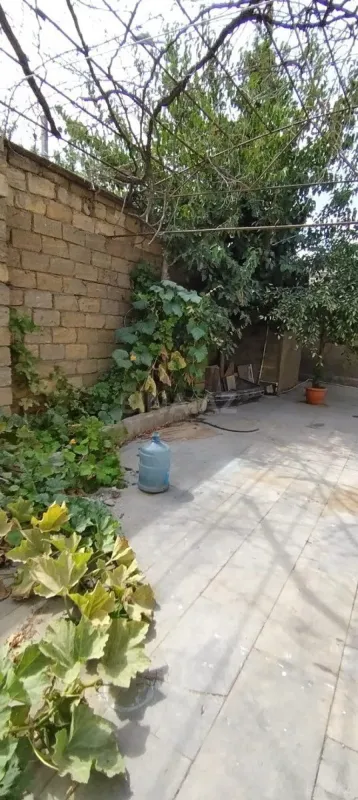 Satılır obyekt 2.5 m²