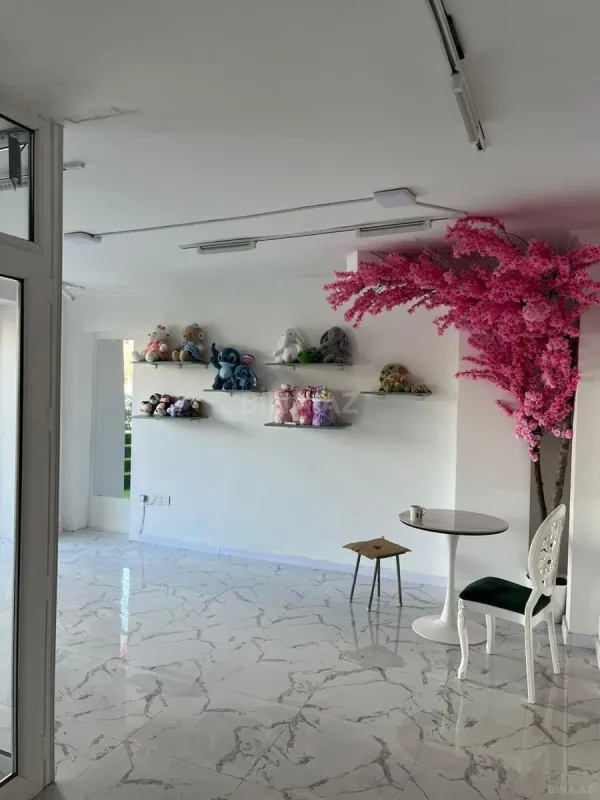 Kirayə verilir obyekt 60 m²