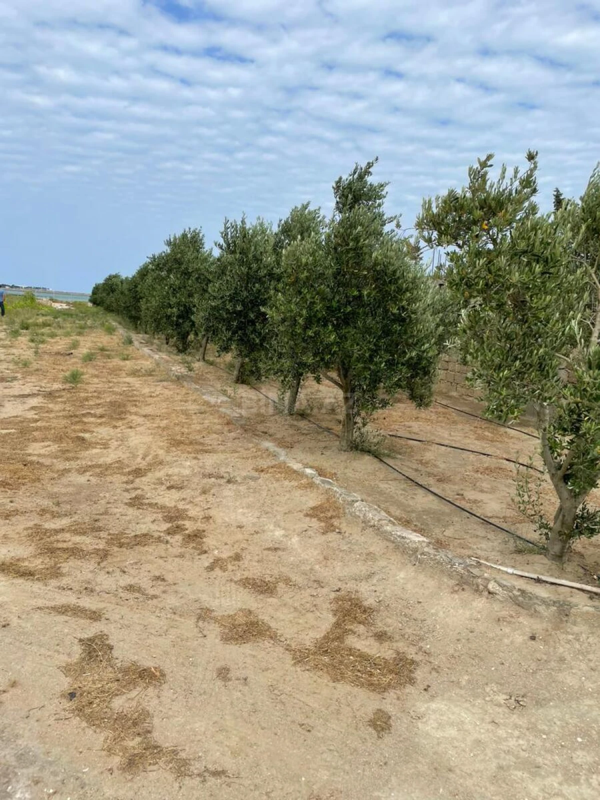 Satılır torpaq sahəsi 80 m²