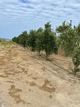 Satılır torpaq sahəsi 80 m²