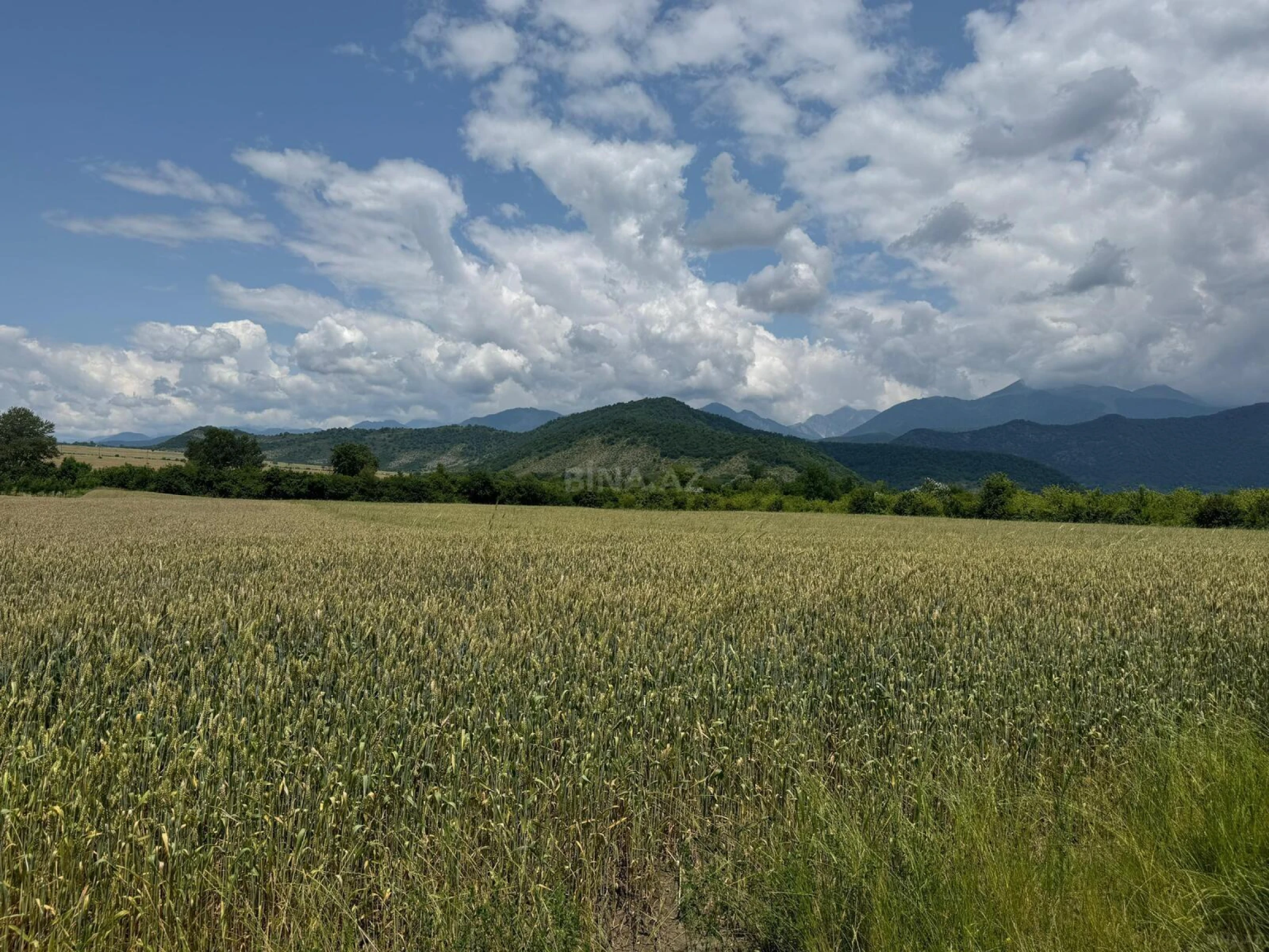 Satılır torpaq sahəsi 1300 m²