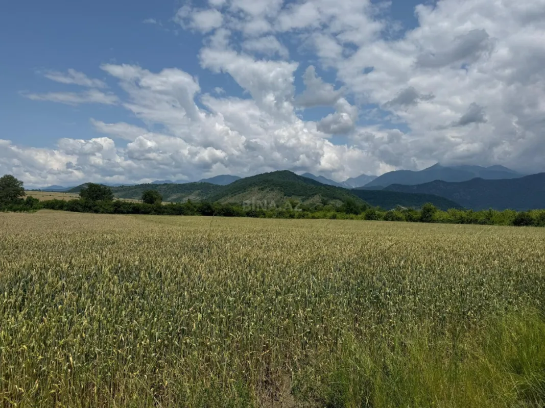 Satılır torpaq sahəsi 1300 m²