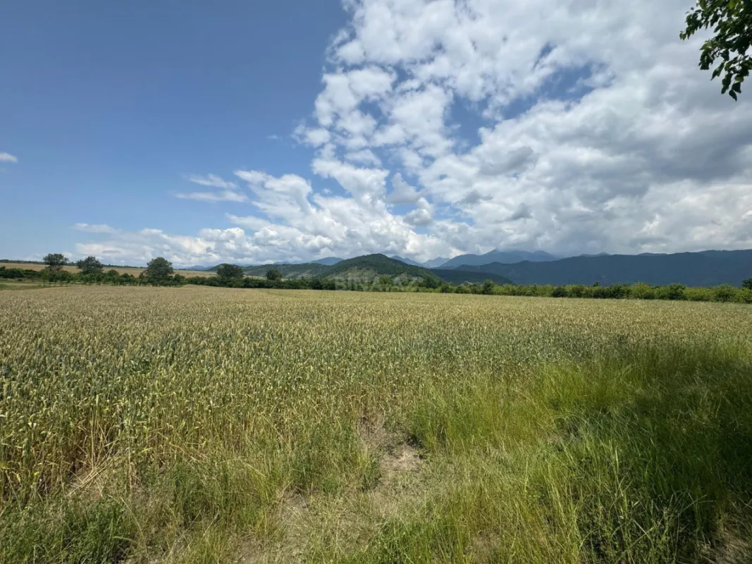 Satılır torpaq sahəsi 1300 m²