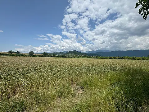 Satılır torpaq sahəsi 1300 m² — Qəbələ 1300.00 m²