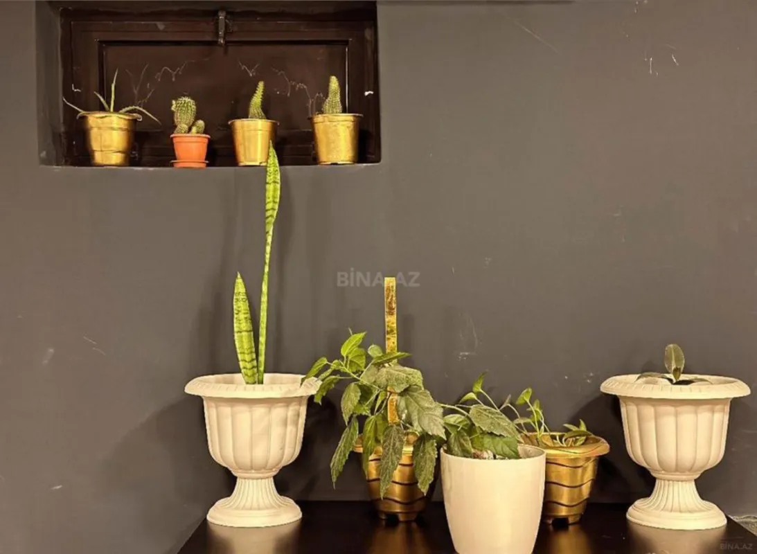 Kirayə verilir obyekt 24 m²