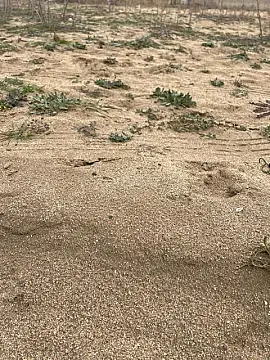 Satılır torpaq sahəsi 6 m²