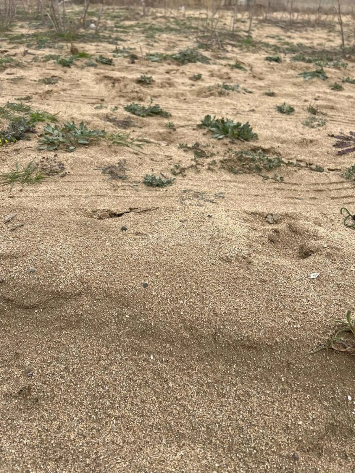 Satılır torpaq sahəsi 6 m²