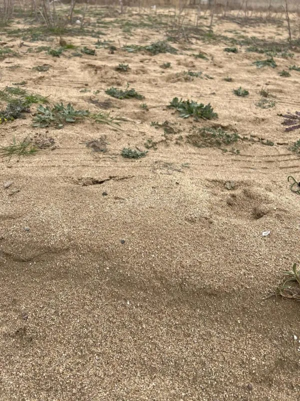 Satılır torpaq sahəsi 6 m²