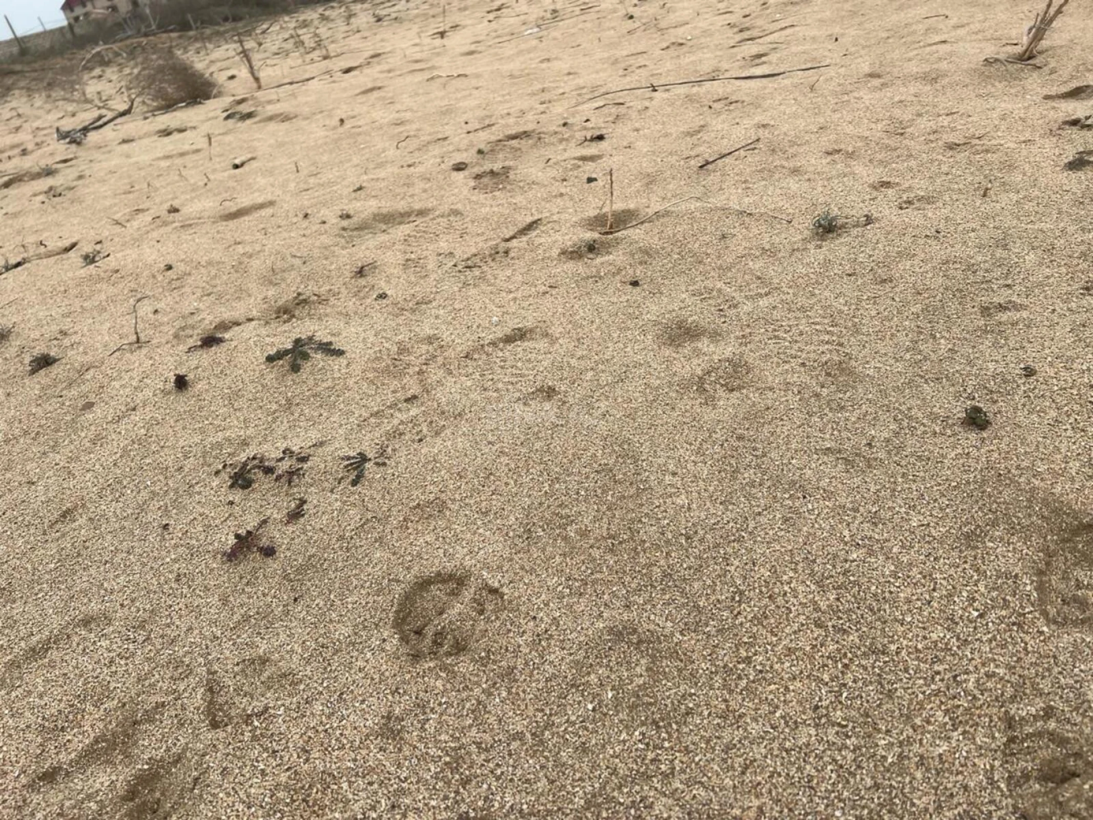 Satılır torpaq sahəsi 6 m²