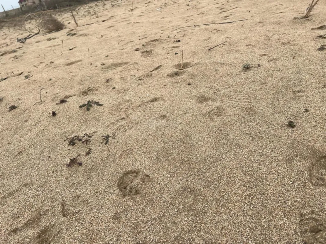 Satılır torpaq sahəsi 6 m²