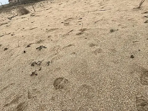 Satılır torpaq sahəsi 6 m²