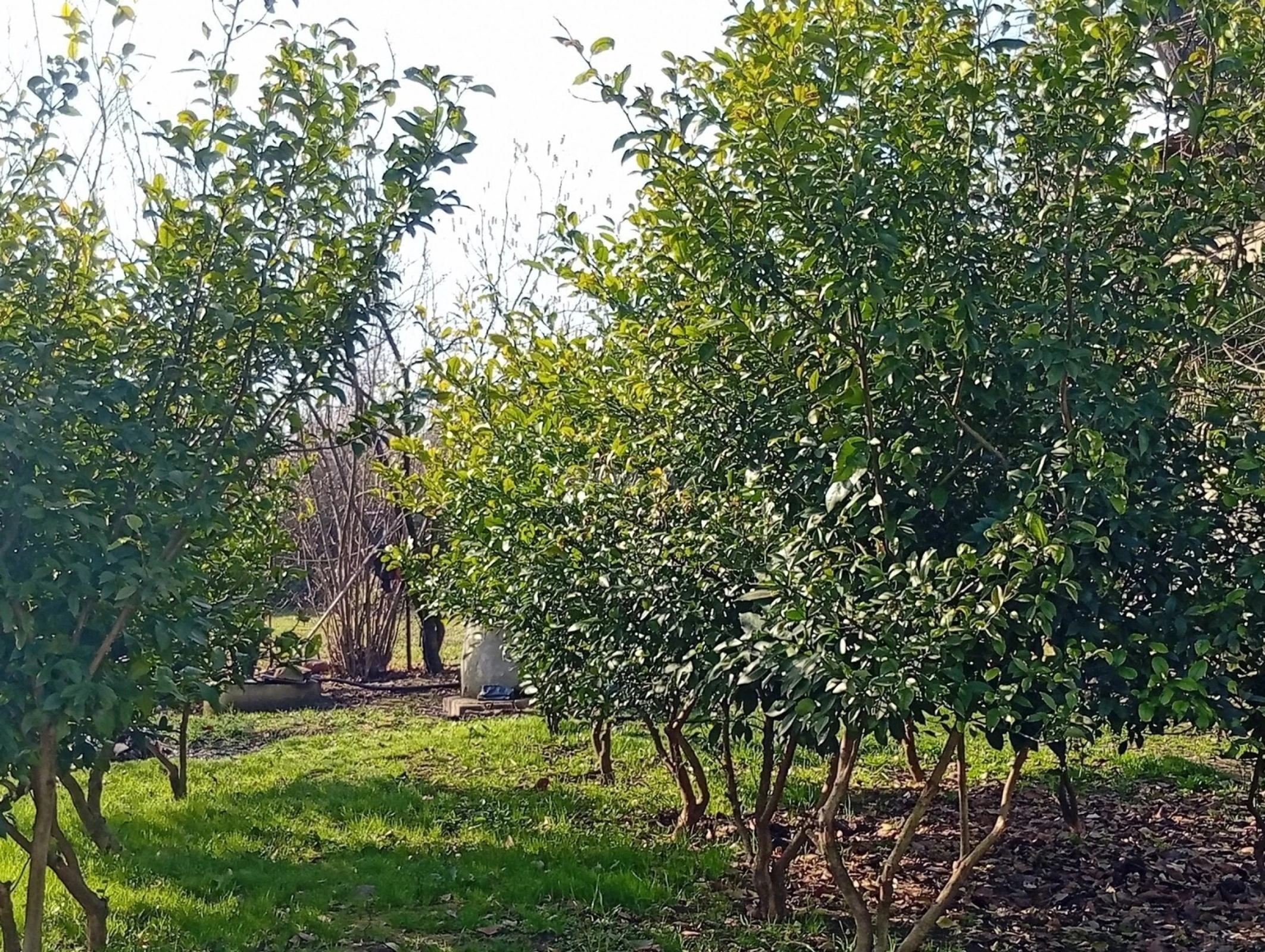 Satılır 3 otaqlı həyət evi 91 m²