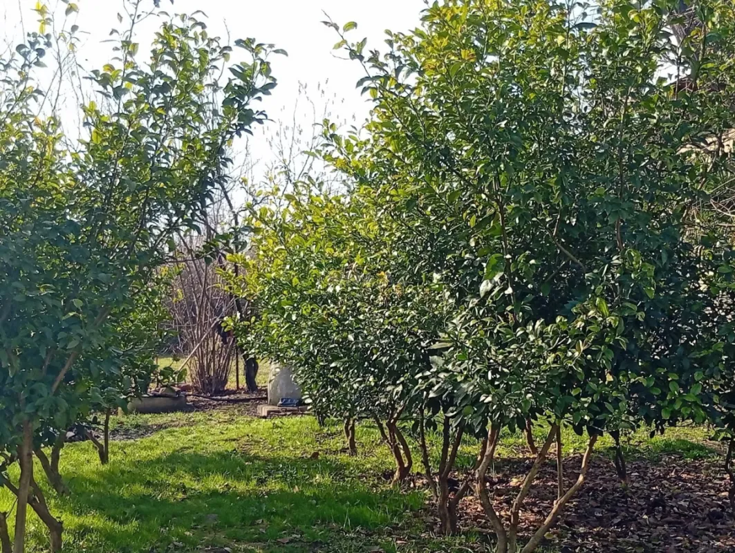 Satılır 3 otaqlı həyət evi 91 m²