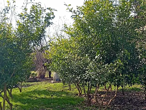 Satılır 3 otaqlı həyət evi 91 m²