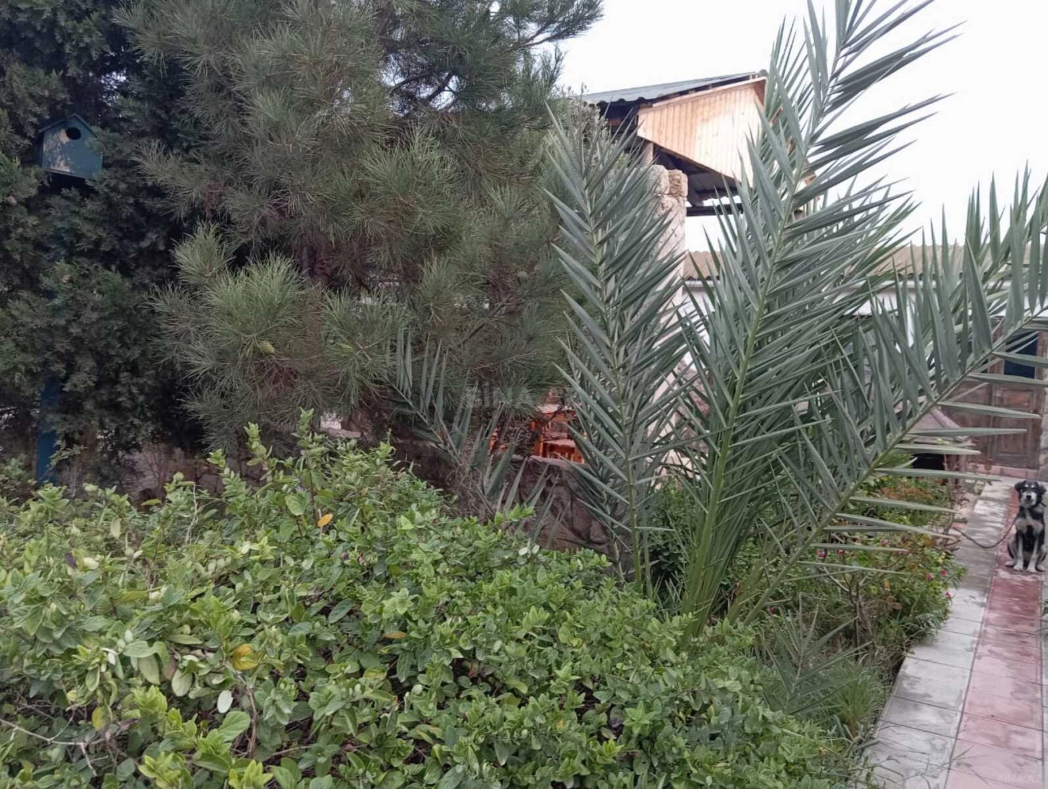 Satılır 8 otaqlı həyət evi 400 m²