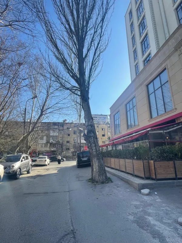 Kirayə verilir obyekt 50 m²