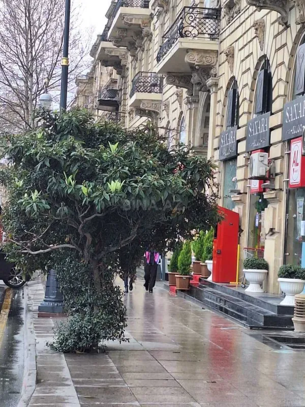 Satılır 2 otaqlı mənzil 60 m²