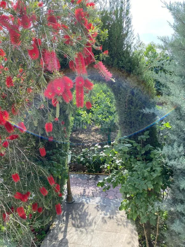 Kirayə verilir 5 otaqlı həyət evi 250 m²