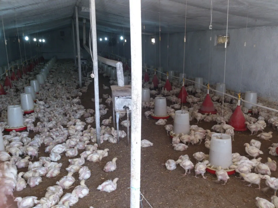 Satılır torpaq sahəsi 10 m²