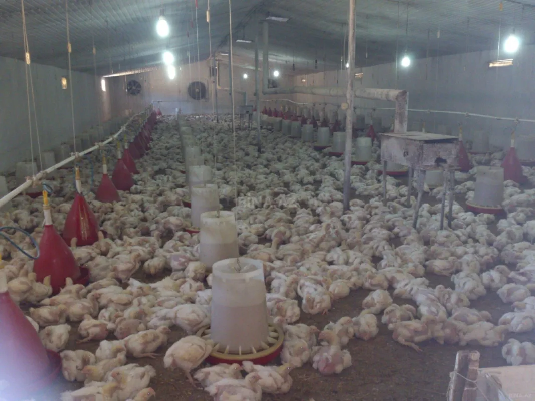 Satılır torpaq sahəsi 10 m²