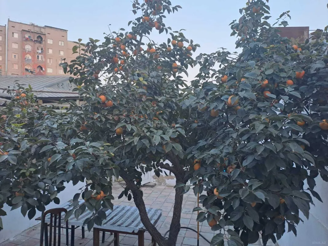 Kirayə verilir obyekt 70 m²