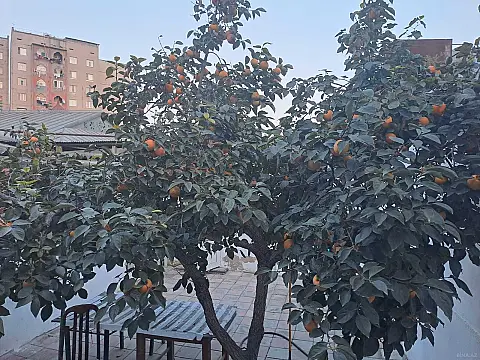 Kirayə verilir obyekt 70 m² — Bakı, Bakıxanov 70.00 m²