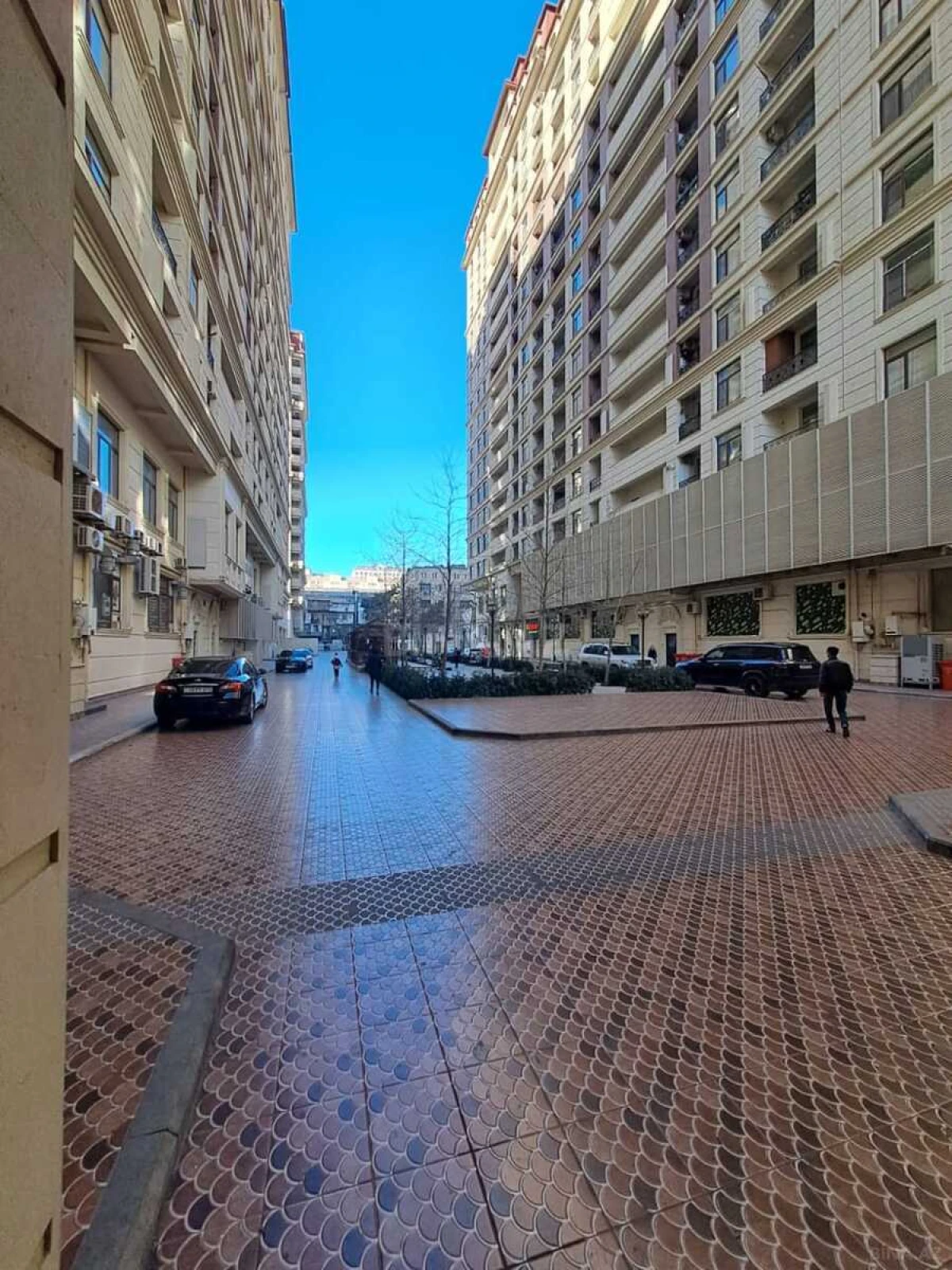 Kirayə verilir 3 otaqlı ofis 335 m²
