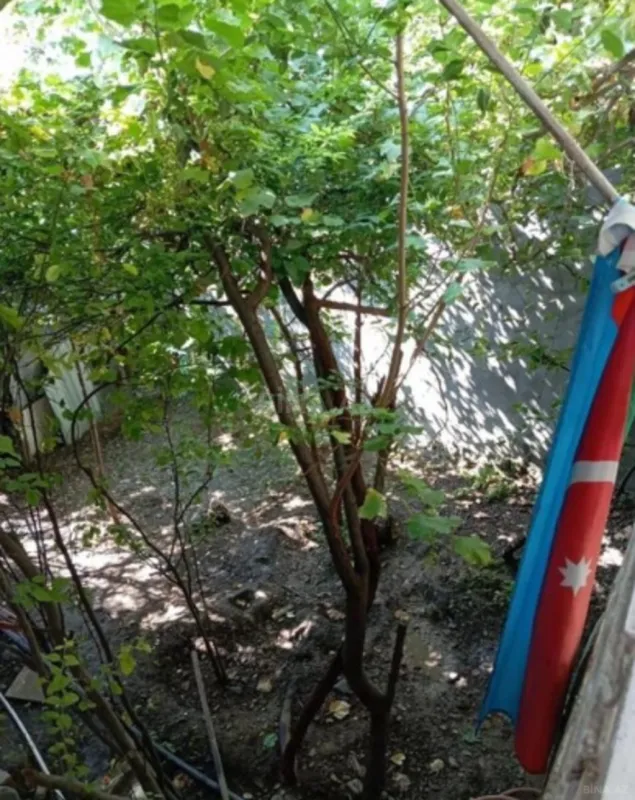 Kirayə verilir 3 otaqlı həyət evi 100 m²