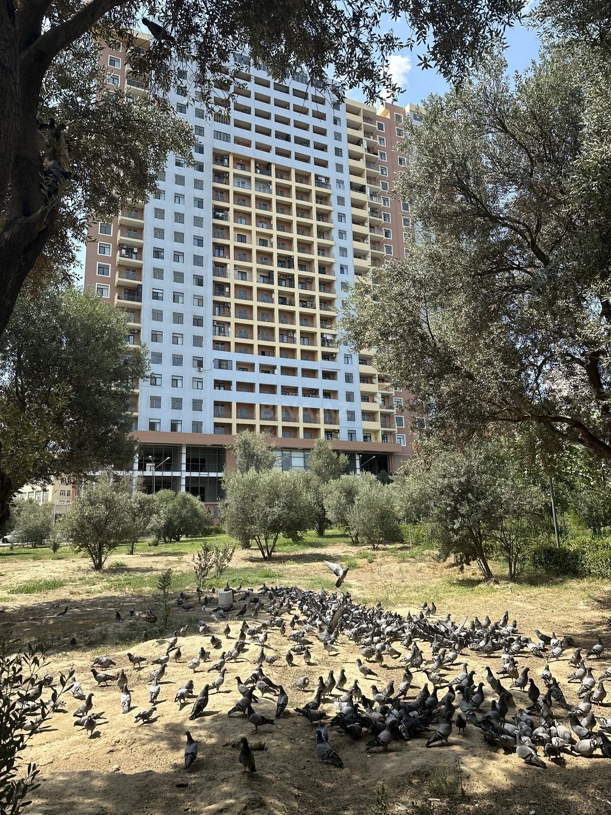 Satılır 2 otaqlı mənzil 111 m²