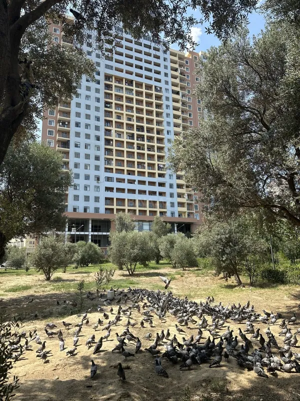 Satılır 2 otaqlı mənzil 111 m²