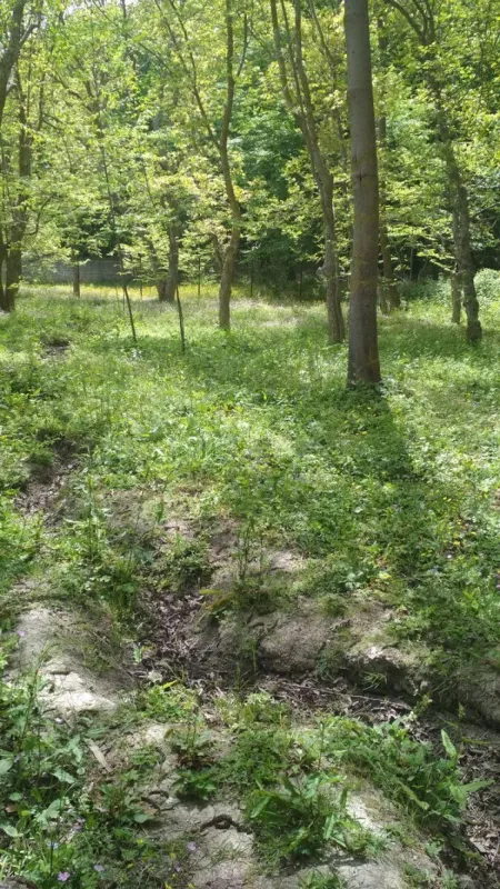 Satılır torpaq sahəsi 20 m²