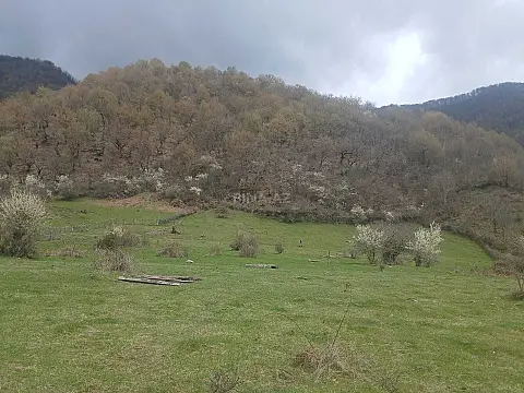 Satılır torpaq sahəsi 23 m² — İsmayıllı 23.00 m²