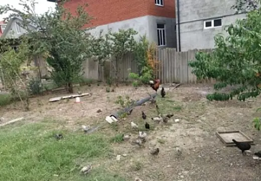 Satılır torpaq sahəsi 3 m²