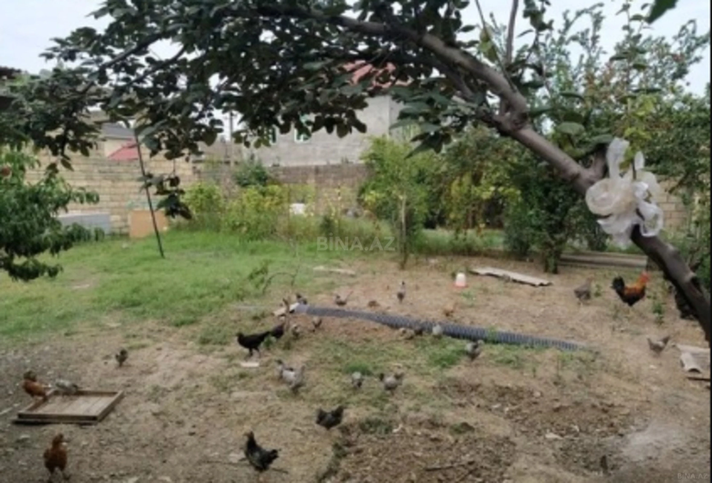 Satılır torpaq sahəsi 3 m²