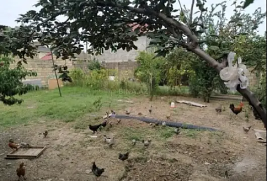 Satılır torpaq sahəsi 3 m²